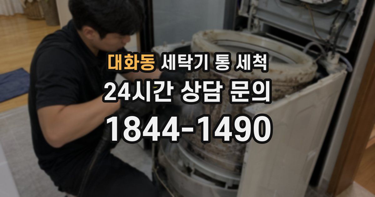 대화동 세탁기 통 세척