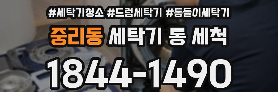 중리동 세탁기 통 세척