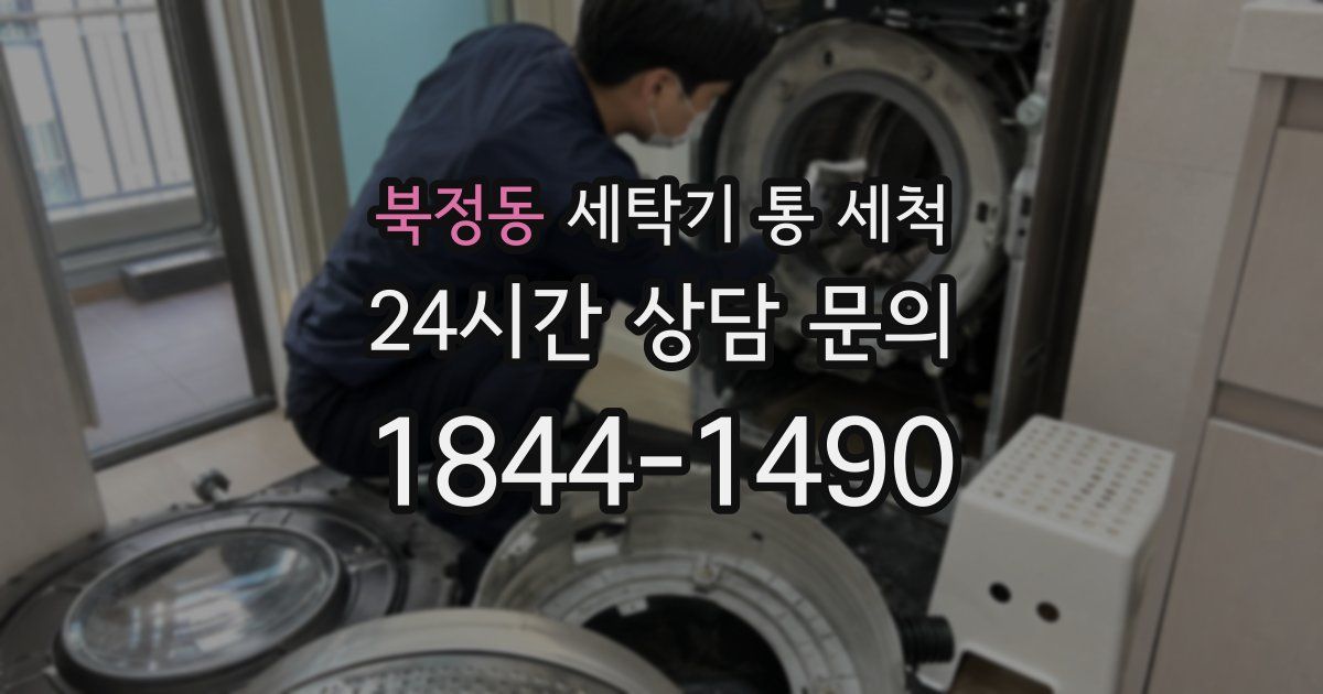 북정동 세탁기 통 세척