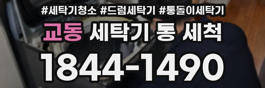 교동 세탁기 통 세척