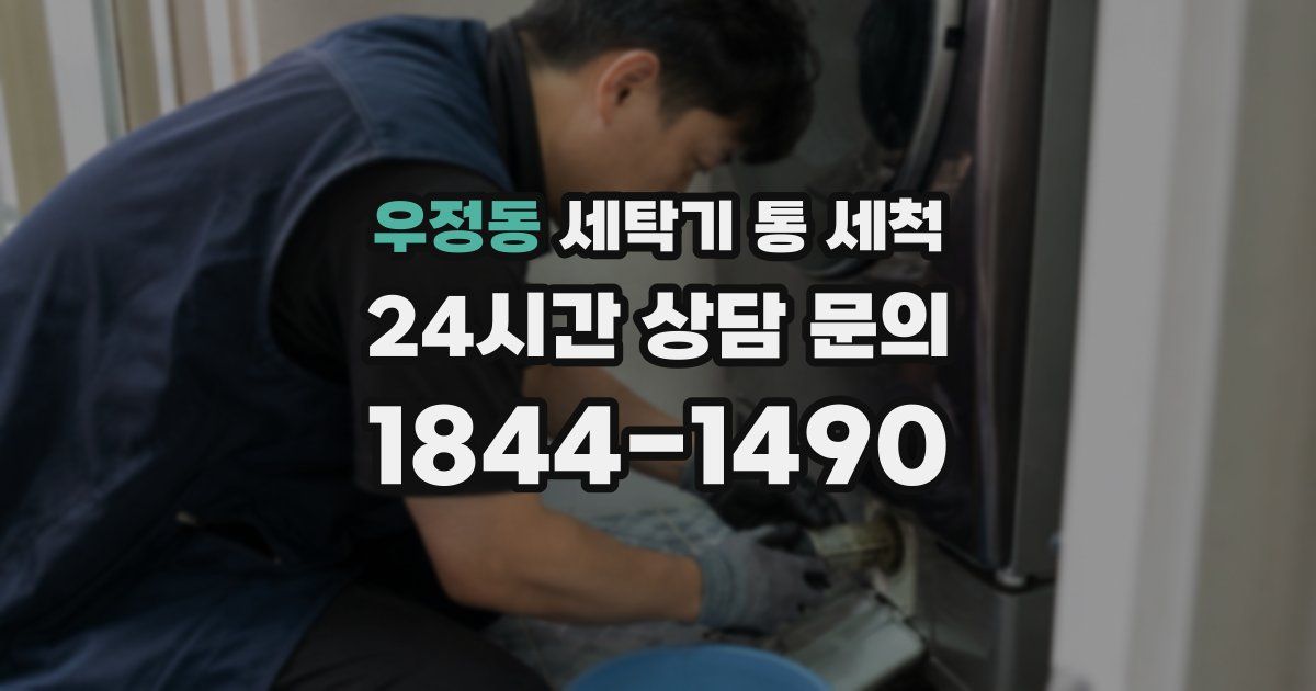우정동 세탁기 통 세척