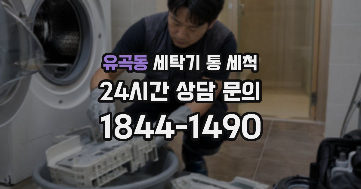 유곡동 세탁기 통 세척