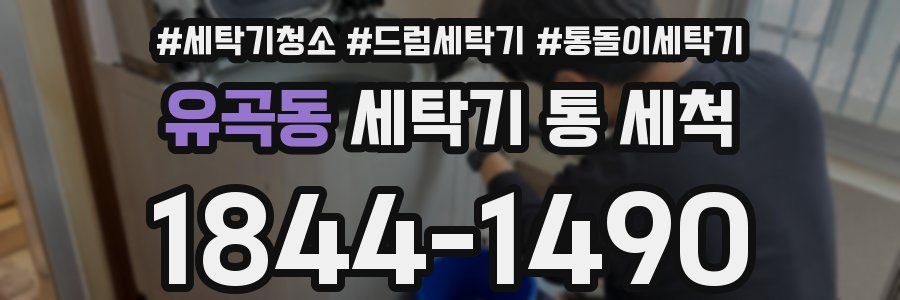 유곡동 세탁기 통 세척