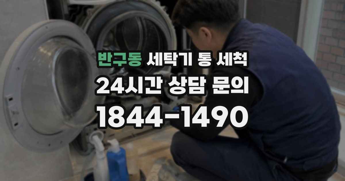 반구동 세탁기 통 세척
