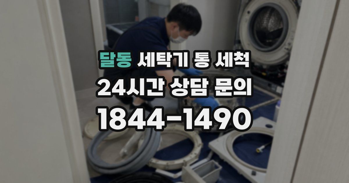 달동 세탁기 통 세척