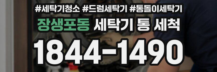 장생포동 세탁기 통 세척