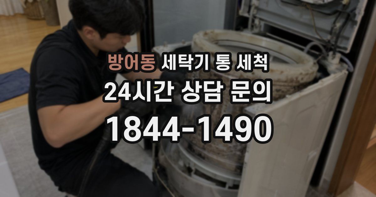 방어동 세탁기 통 세척