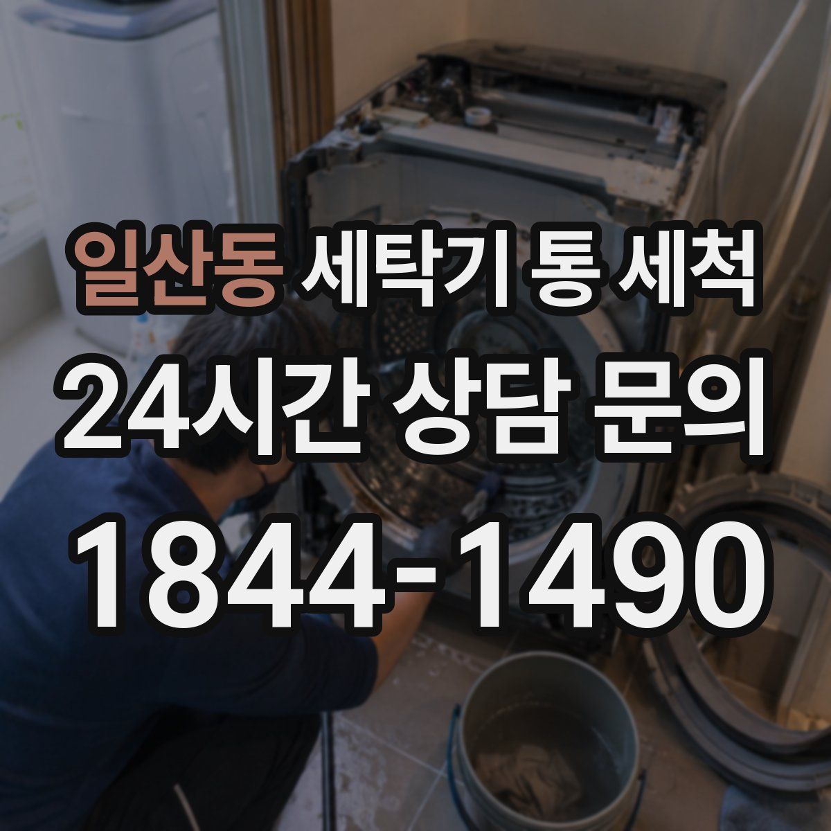 일산동 세탁기 통 세척