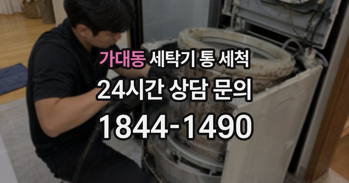 가대동 세탁기 통 세척