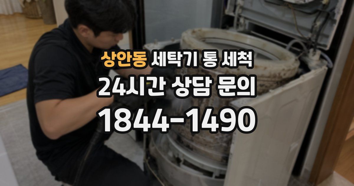 상안동 세탁기 통 세척