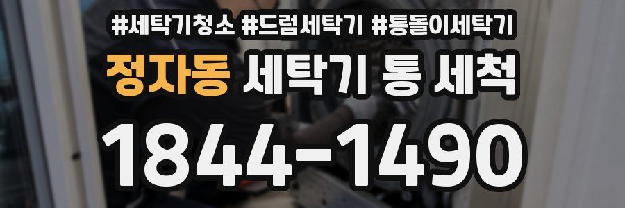 정자동 세탁기 통 세척