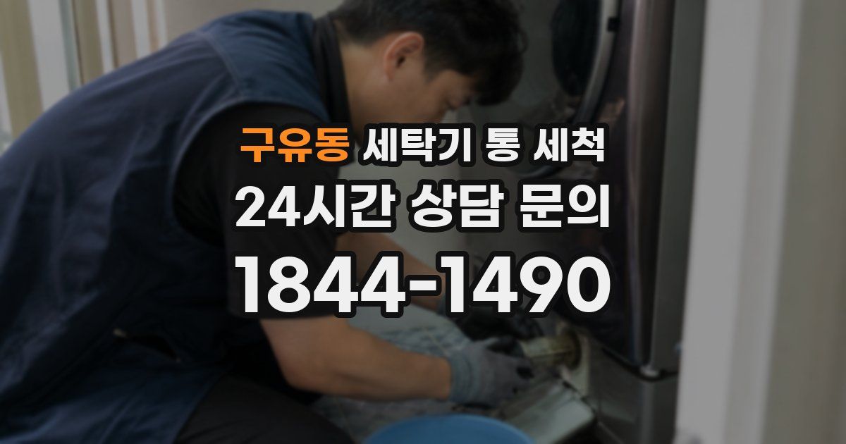 구유동 세탁기 통 세척