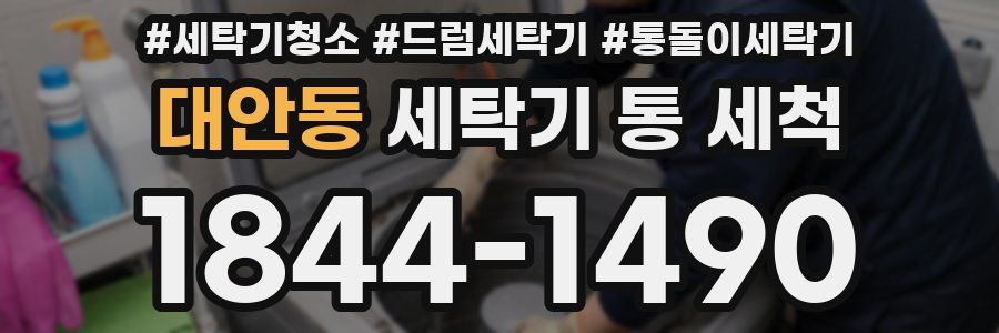 대안동 세탁기 통 세척