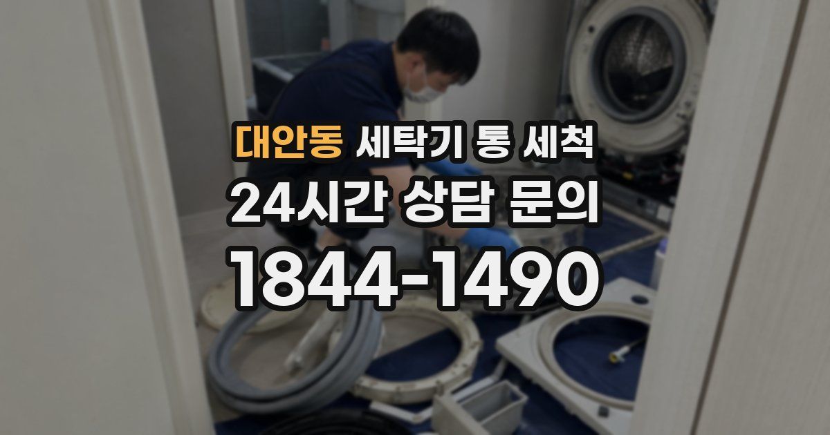 대안동 세탁기 통 세척