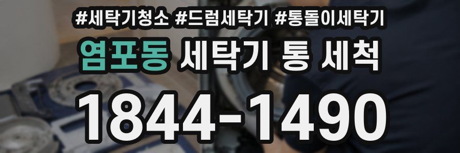 염포동 세탁기 통 세척