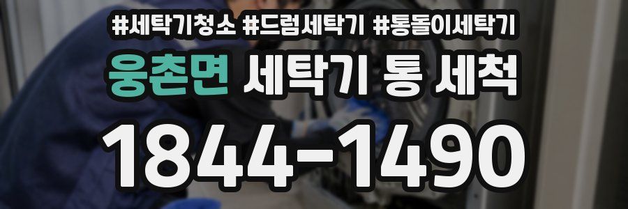 웅촌면 세탁기 통 세척