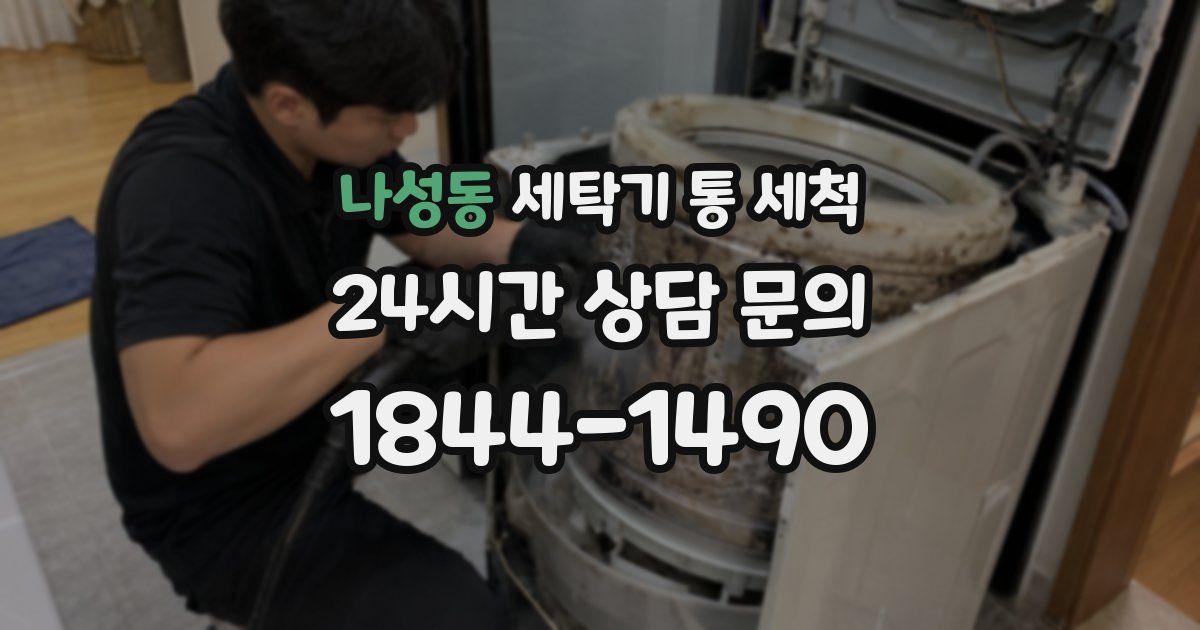 나성동 세탁기 통 세척