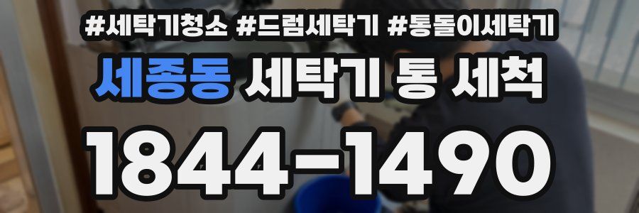 세종동 세탁기 통 세척
