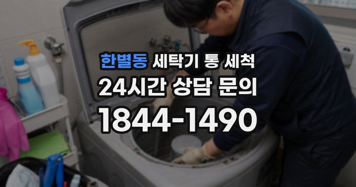 한별동 세탁기 통 세척