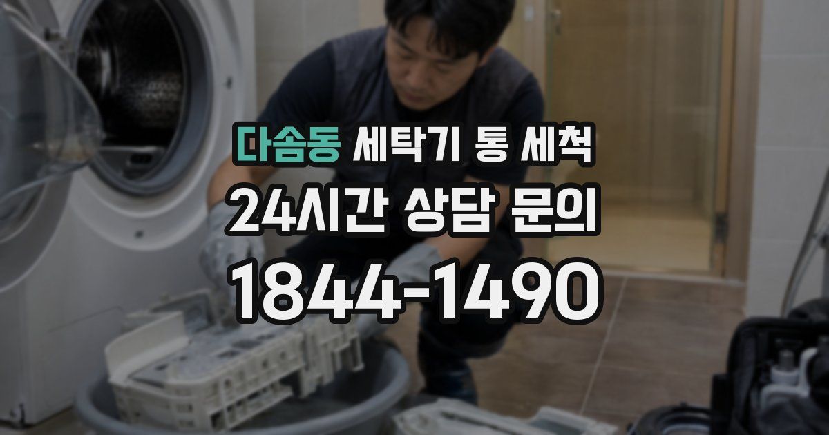 다솜동 세탁기 통 세척