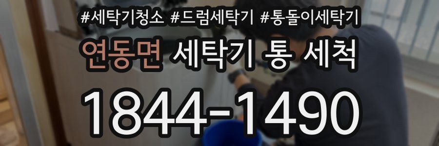연동면 세탁기 통 세척
