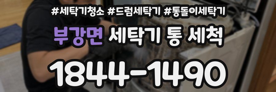 부강면 세탁기 통 세척