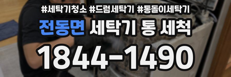전동면 세탁기 통 세척