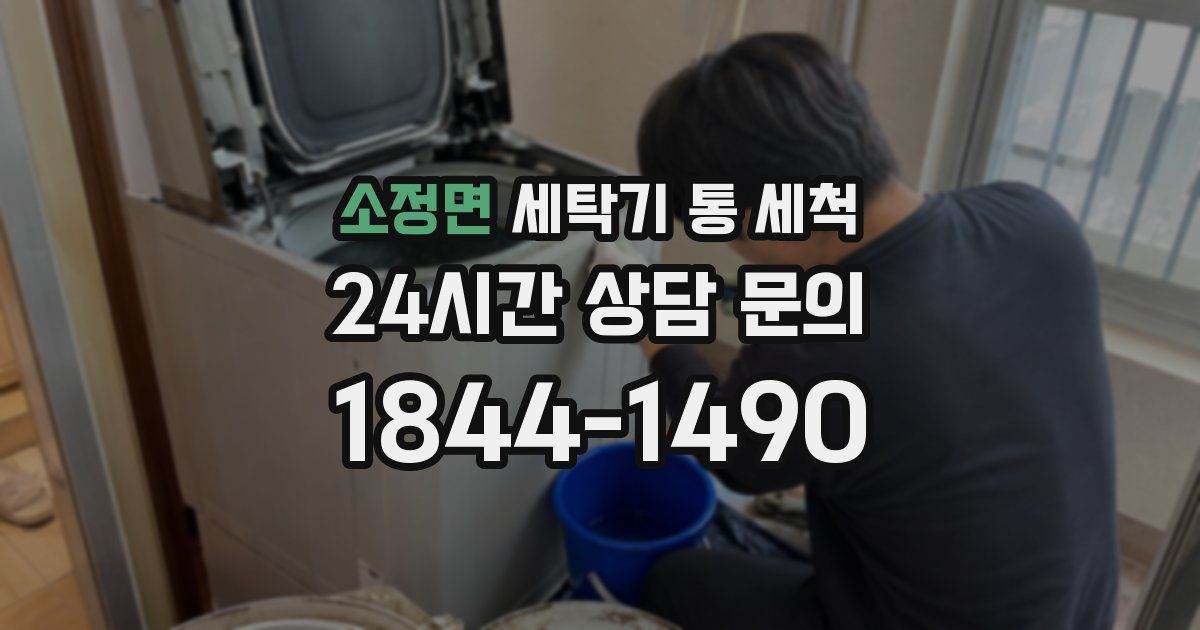 소정면 세탁기 통 세척