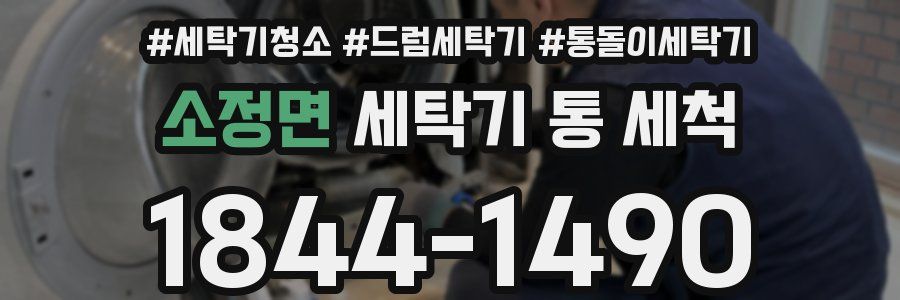 소정면 세탁기 통 세척