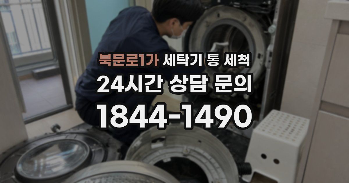 북문로1가 세탁기 통 세척