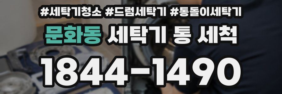 문화동 세탁기 통 세척