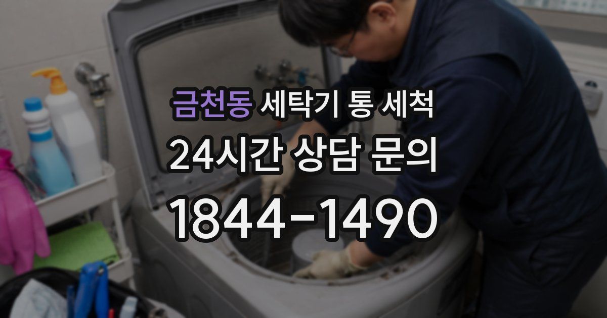 금천동 세탁기 통 세척