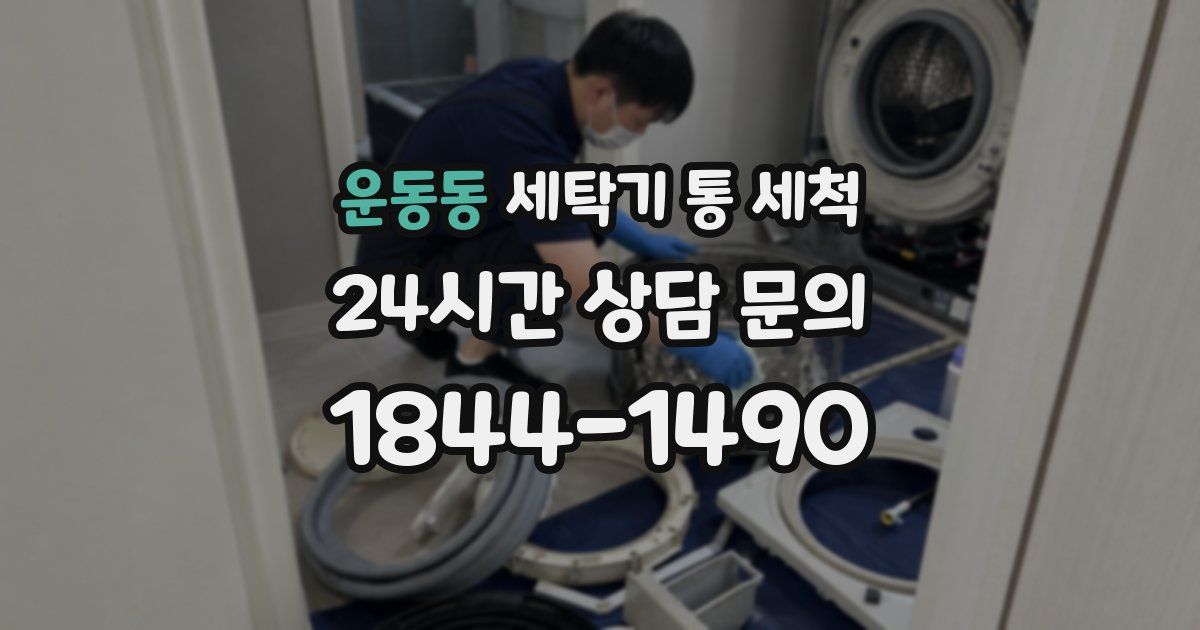 운동동 세탁기 통 세척