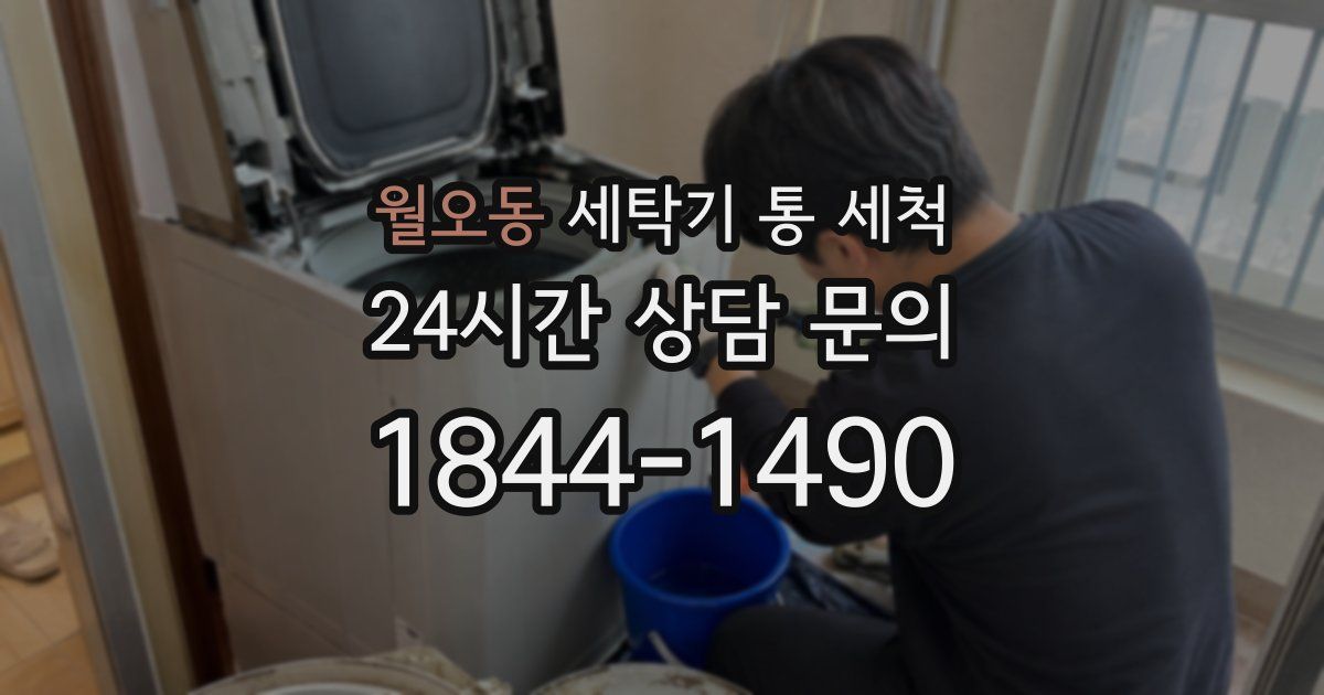 월오동 세탁기 통 세척