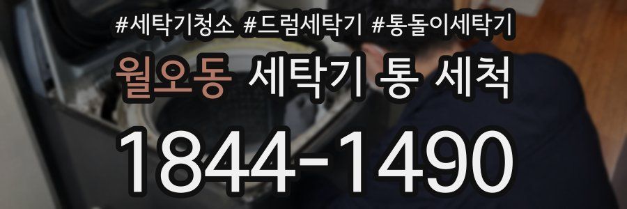 월오동 세탁기 통 세척