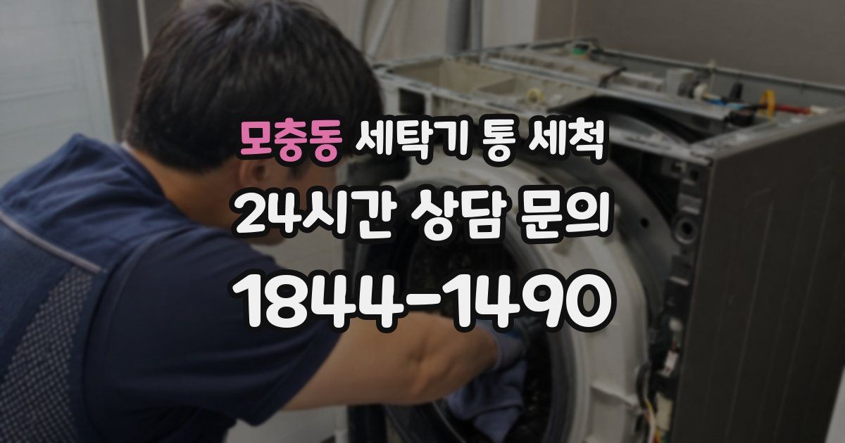 모충동 세탁기 통 세척