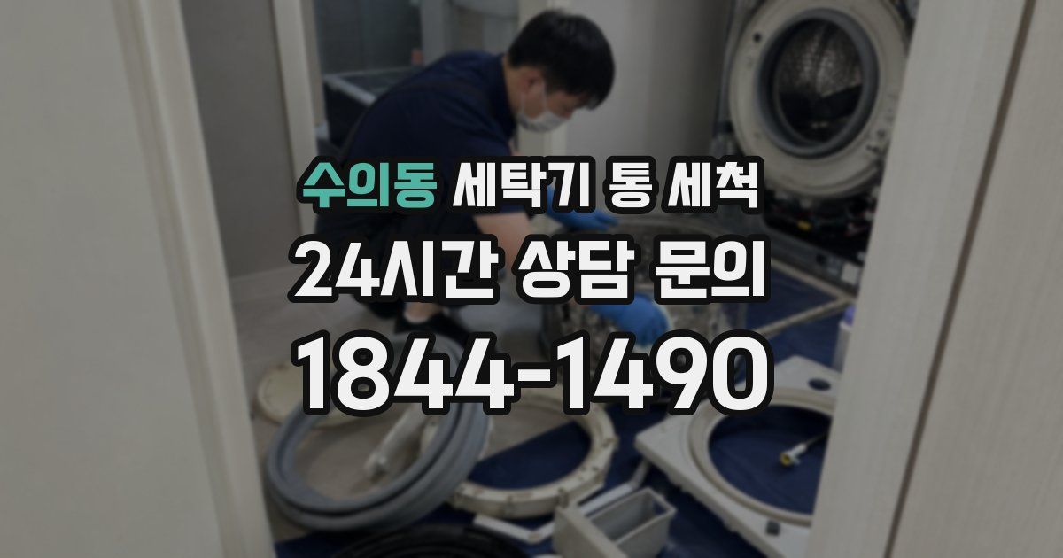 수의동 세탁기 통 세척
