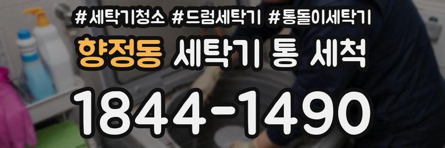 향정동 세탁기 통 세척