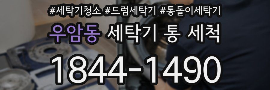 우암동 세탁기 통 세척