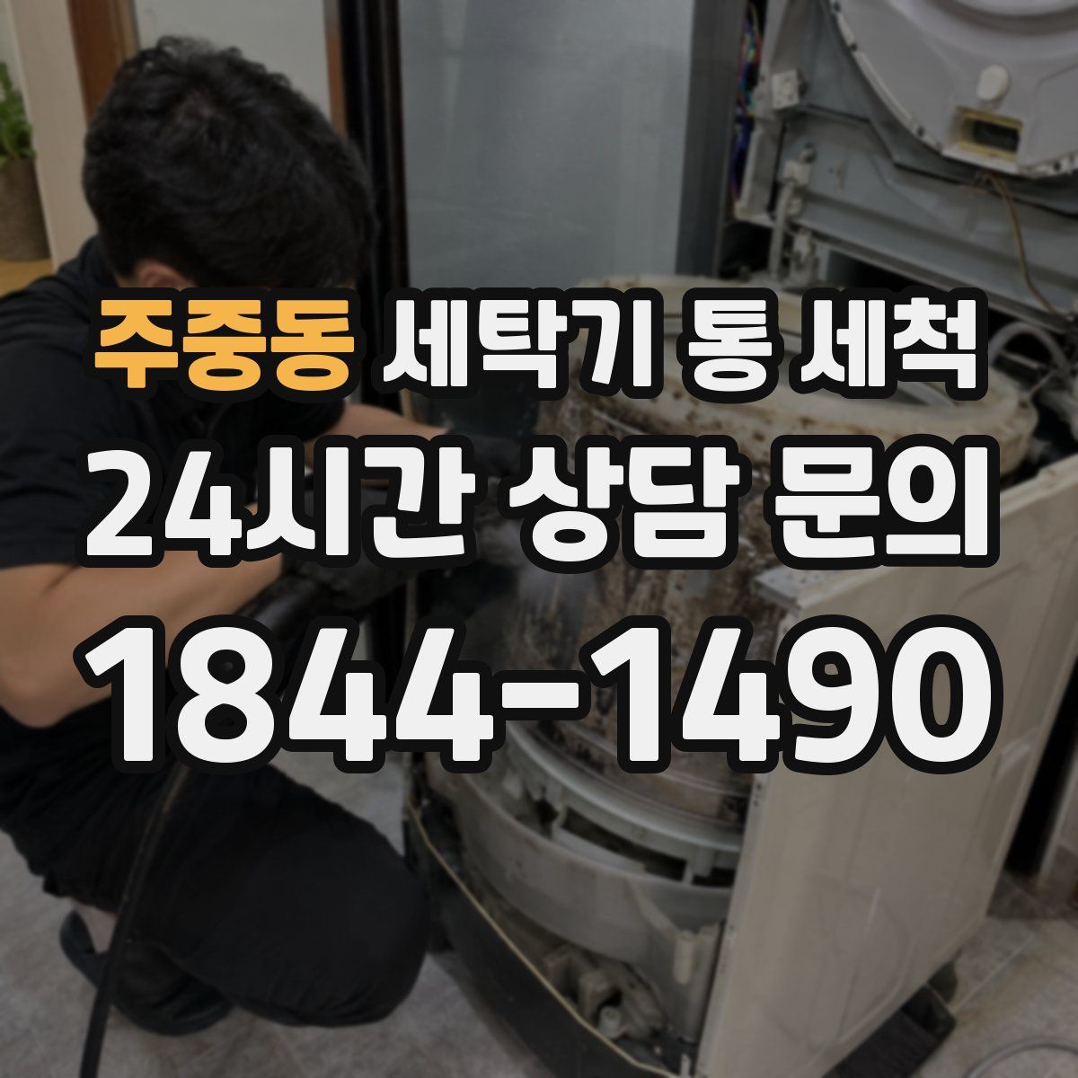 주중동 세탁기 통 세척