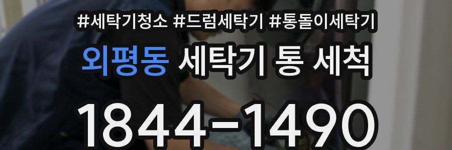 외평동 세탁기 통 세척