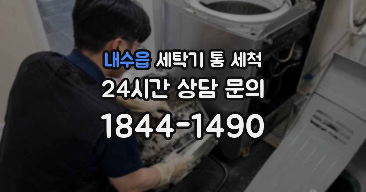 내수읍 세탁기 통 세척