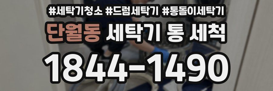 단월동 세탁기 통 세척