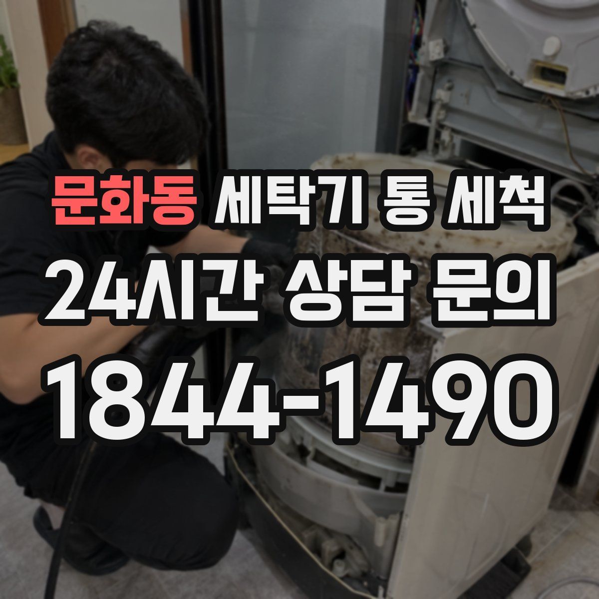 문화동 세탁기 통 세척