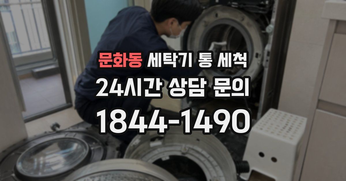 문화동 세탁기 통 세척