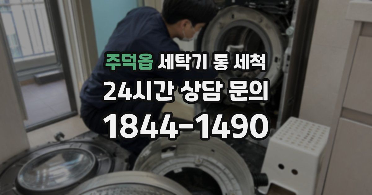 주덕읍 세탁기 통 세척