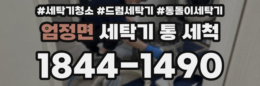 엄정면 세탁기 통 세척