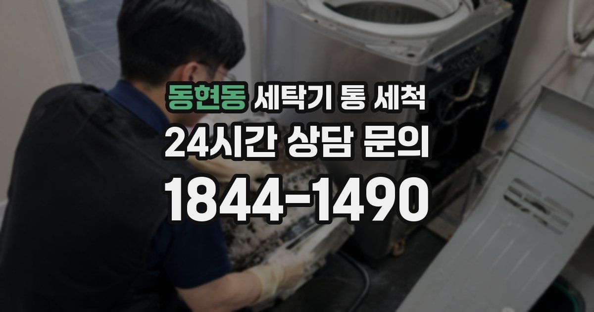동현동 세탁기 통 세척
