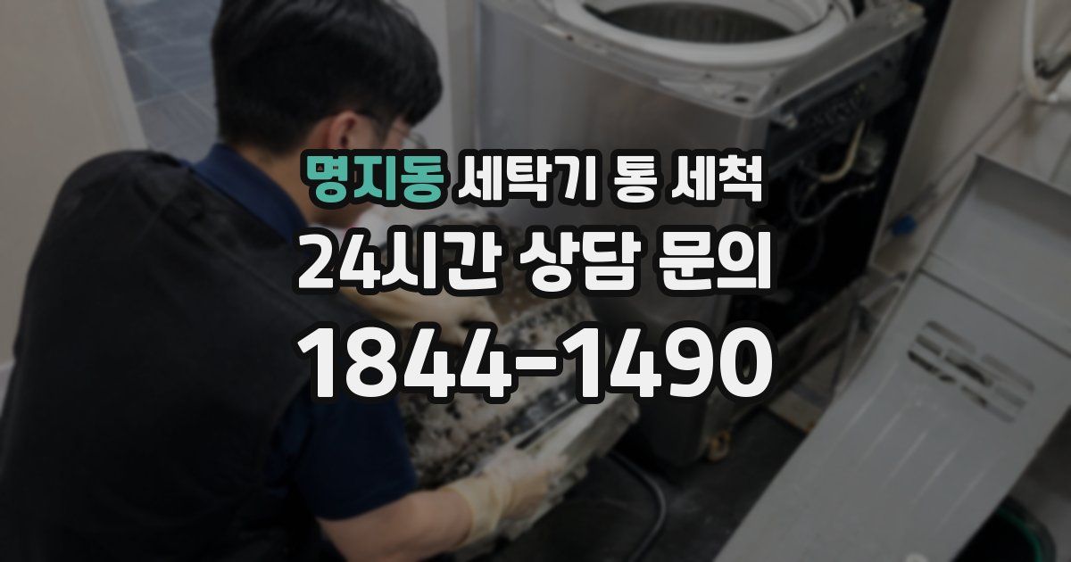 명지동 세탁기 통 세척