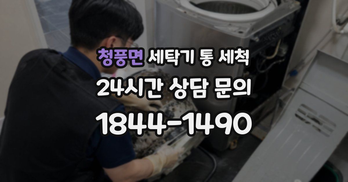 청풍면 세탁기 통 세척